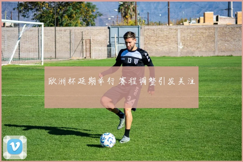 欧洲杯延期举行 赛程调整引发关注