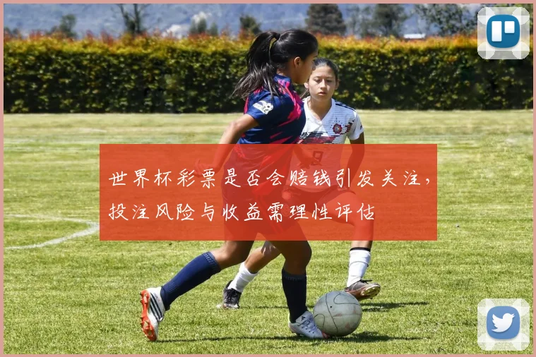 世界杯彩票是否会赔钱引发关注，投注风险与收益需理性评估
