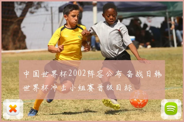 中国世界杯2002阵容公布 备战日韩世界杯冲击小组赛晋级目标
