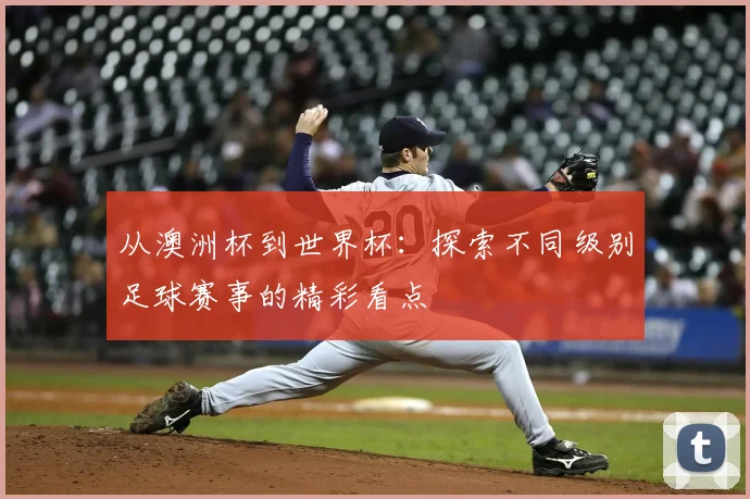 从澳洲杯到世界杯:探索不同级别足球赛事的精彩看点