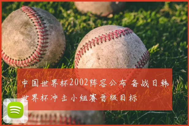 中国世界杯2002阵容公布 备战日韩世界杯冲击小组赛晋级目标