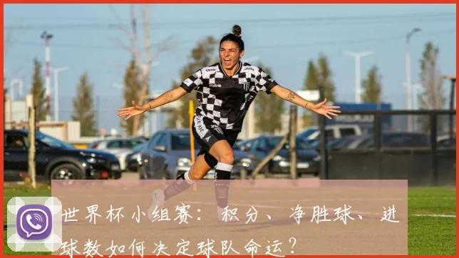 世界杯小组赛：积分、净胜球、进球数如何决定球队命运？